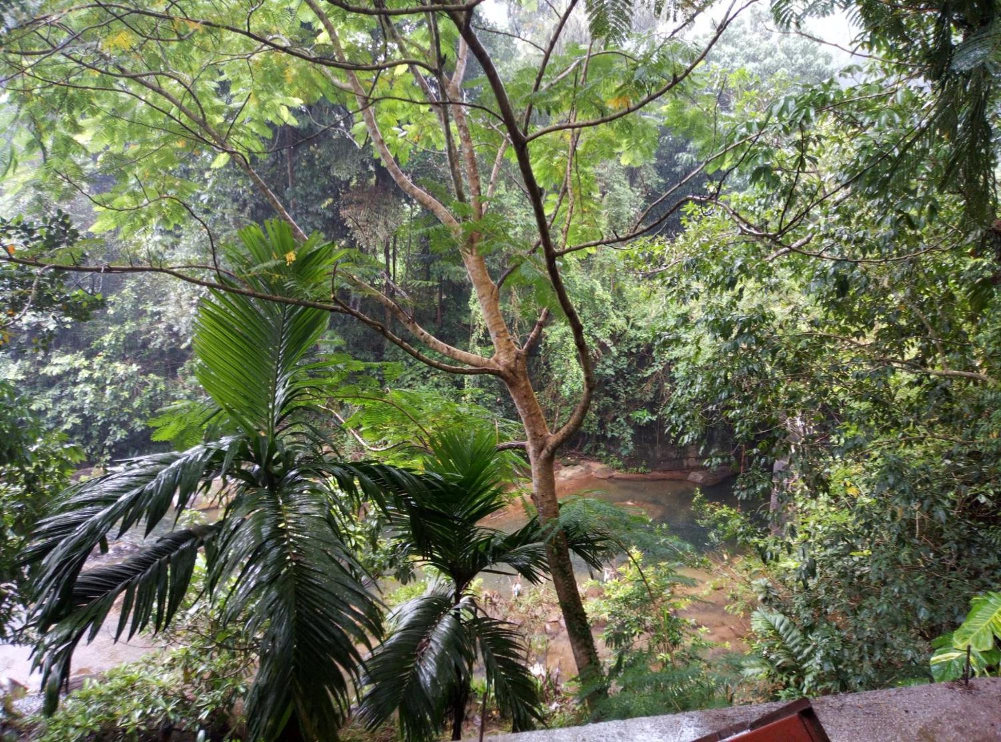 Old Bridge Riverside Hotel Kitulgala Kültér fotó