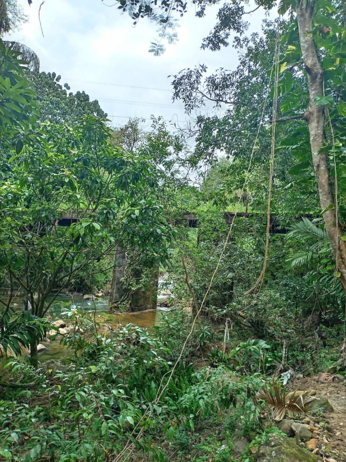 Old Bridge Riverside Hotel Kitulgala Kültér fotó