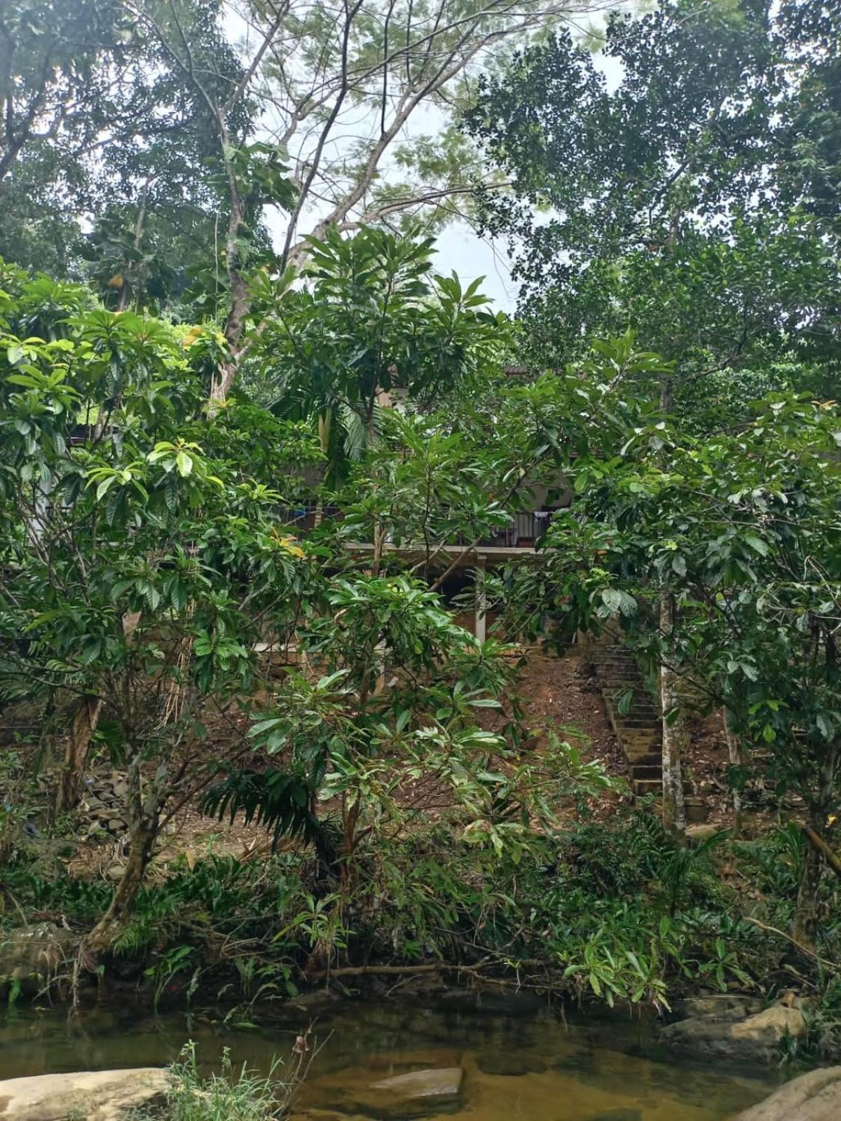 Old Bridge Riverside Hotel Kitulgala Kültér fotó